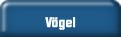 Vögel.